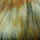 Fake Racoon Faux Fur Fabric | FAB1207 | 1.Ivory, 2.Brown, 3.Black by Fabricis.com #