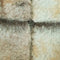 2.Brown/Ivory