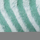 3.Fern