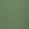 Recycle Nylon Woven-Spruce Green