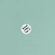 16.Mint