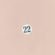 22.Pink