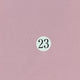 23.Pink