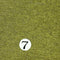 7.Yellow Green