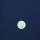 31.Navy