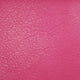 13.Fuchsia