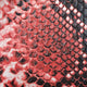 6.Red