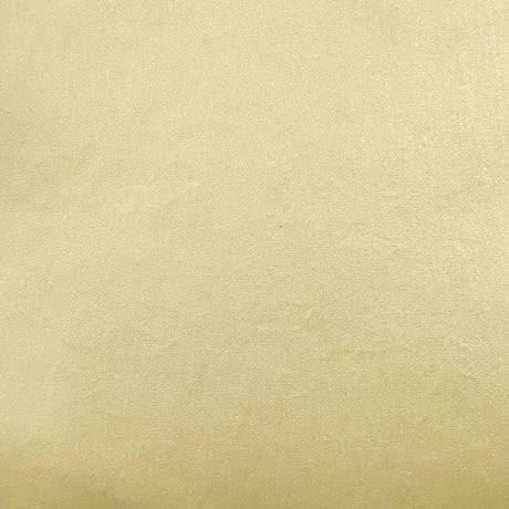 Metal PU Nylon Fabric | FAB1300 | 1.Ivory, 2.Grey, 3.Brandy Rose, 4.Beige, 5.Gold, 6.Brown, 7.Fire Brick, 8.Green, 9.Khaki, 10.Dark Green by Fabricis.com #