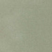 Silk Organza Woven-Beige