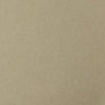 Satin Polyester Woven-Beige