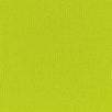 Brush Polyester Spandex-Green
