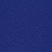 Brush Polyester Spandex-Blue