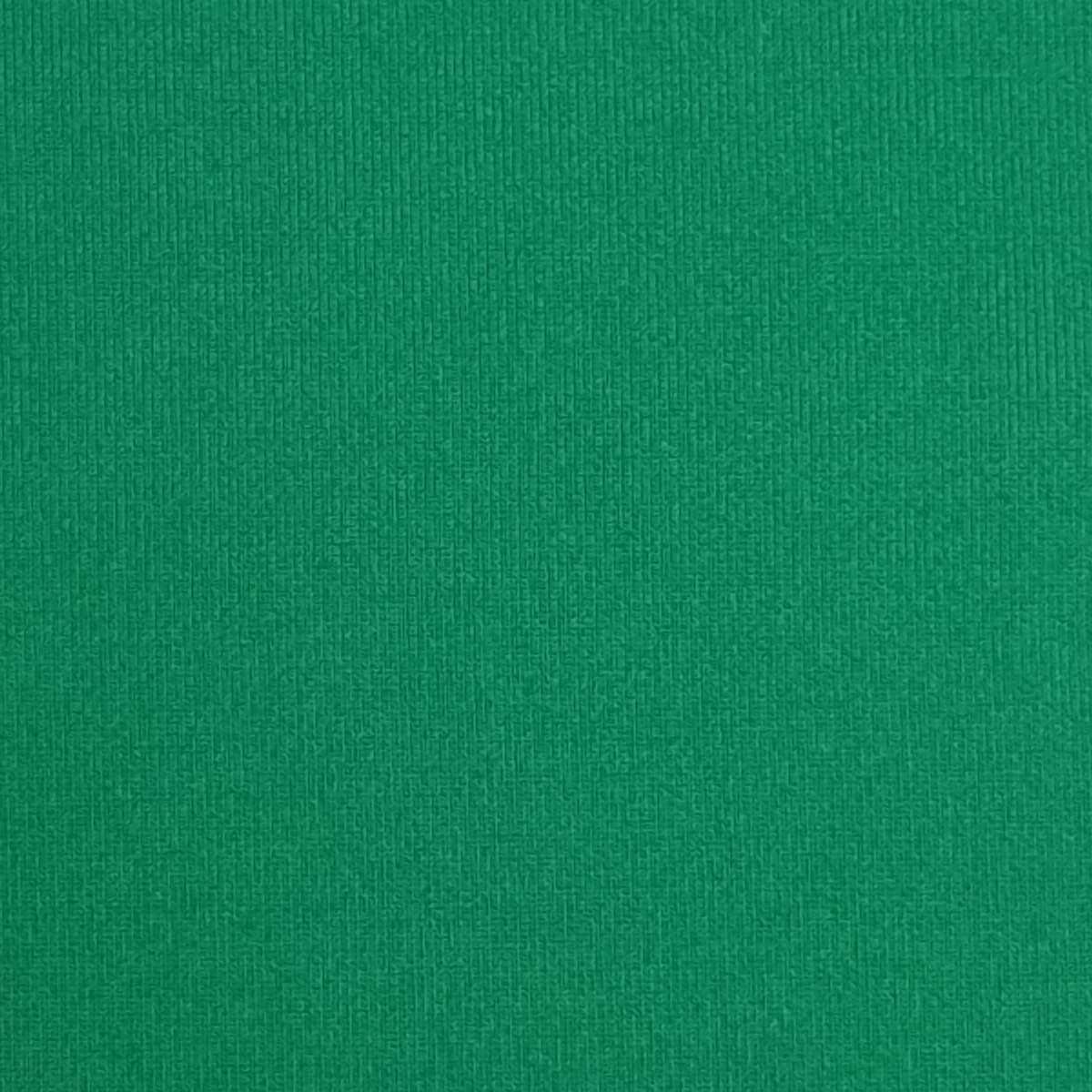 Polyester Spandex Knit-Green