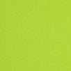 Pique Polyester Spandex Knit-Green