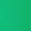 Pique Nylon Spandex Knit-Green
