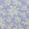2.Violet