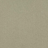 Polyester like Spandex Woven Fabric-Brown