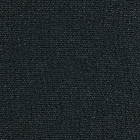 Polyester Like Liene Woven Fabric-Black