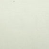 Terry Cotton Spandex Knit Fabric-Ivory