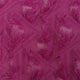 1.Fuchsia