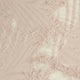 2.Pink