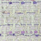 1.Lilac